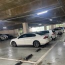 미래로408번길 | 파주 운정 24시 맛집｜운정골감자탕 묵은지감자탕 추천