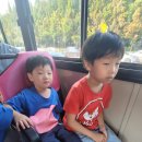 빽다방 동탄석우점 수박쥬스