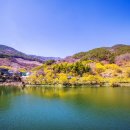 현천마을 이미지