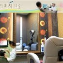 아미치0.3 아시아경제