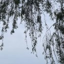 신흥인쇄소 - 문경시 | 길고 긴 터널을 지나