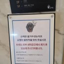 더펫텔 | 해운대해수욕장 도보 5분거리 애견동반호텔 '더펫텔 프리미엄스위트' 내돈내산 후기