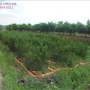 녹전1동 이미지