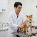 와우동물메디컬센터 이미지