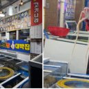 목포회타운