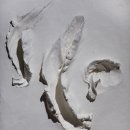 회화에너지 이미지