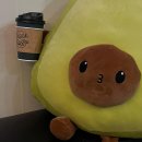 그린카파 이미지