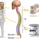제일메디칼(주) 이미지