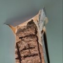 미건공인중개사사무소 이미지