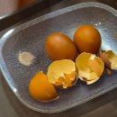 고일농장 | 5월 3주 주간일기:) 전주칼국수맛집 이지비야 군체 후기 변두리콕 풍향고2 슈니첼
