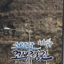 낭만캠프 이미지