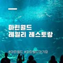 (주)마린푸드시스템 | 후쿠오카 마린월드 식당 레일리 레스토랑 메뉴 후기