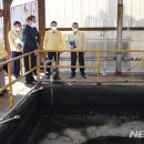 여수축산 - 여수시 여서로 143 | 여수축산