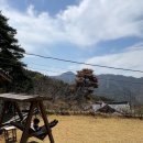 솔방 | 밀양펜션 한옥펜션 감성 제대로 느낀 솔방한옥 후기