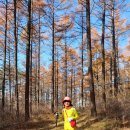 평화목장 이미지