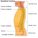 호랑한의원 이미지