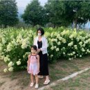 하동 관광지 추천 : 관광택시로 하동 명소 한 번에 즐기는 법
