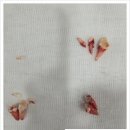 마음을 읽어주는 마음동물병원 이미지