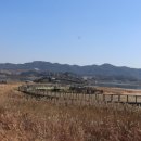 갈대정원 이미지