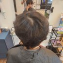 스타일노리터제주 - 55615 | 스타일노리터제주