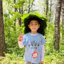 해오름 유아숲체험원 이미지