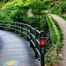 홍록배드민턴장 | 서대문 이음길 3코스 북한산 자락길, 옥천암부터 걷는 4.8km 숲길