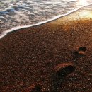 밀려오는 파도소리에 이미지