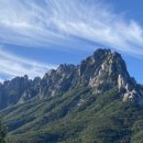 더엠브로시아 이미지