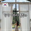 디와이키즈 이미지