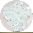 백구농협미곡종합처리장 이미지