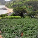 남해-315 이미지