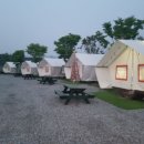 계곡과소나무 캠핑장 | 순창 향가오토캠핑장 – ★4.3 · 계곡과 소나무 숲