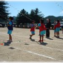 삼생초등학교 이미지