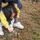 서산 신축펜션 조용하고 평화로웠던 아름드리펜션