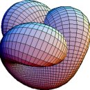 pluralistic object(다원체) vs manifold/multiplicity(다양체) 이미지