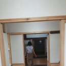 새금다정자
