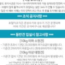 독독펜션 이미지