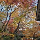 우이마루 | 서울 근교 단풍 명소 겸 카페 – 북한산 선운각 방문 후기