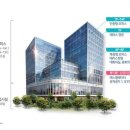 라임벨리 이미지