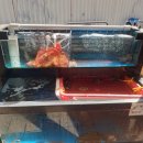 옥길유치원2 | [옥길동 맛집] 아이와 함께 가기 좋은 매콤 힐링 코스! '착한낙지 옥길점' &amp; 코홀트커피 후기