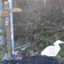 안산-대부-대부-3 이미지