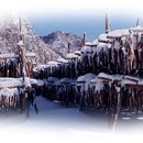 황태덕장 이미지