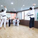 마루태권도 이미지