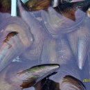 대천항수산시장 이미지