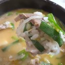 [춘천 맛집] 깔끔하고 진한 국물, 삼천포 돼지국밥 솔직 후기