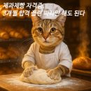 읍면 평생학습 프로그램홈베이킹 | 제과제빵 자격증, 3개월 합격 플랜 따라만 해도 된다
