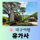 [대구 여행] 보각국사 일연 스님이 머물렀던 아름다운 절 비슬산 "유가사" 따뜻한 방문 후기