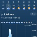 그린월드 Daum카페