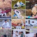 동원낚시 이미지
