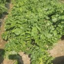 이리북일초등학교 이미지